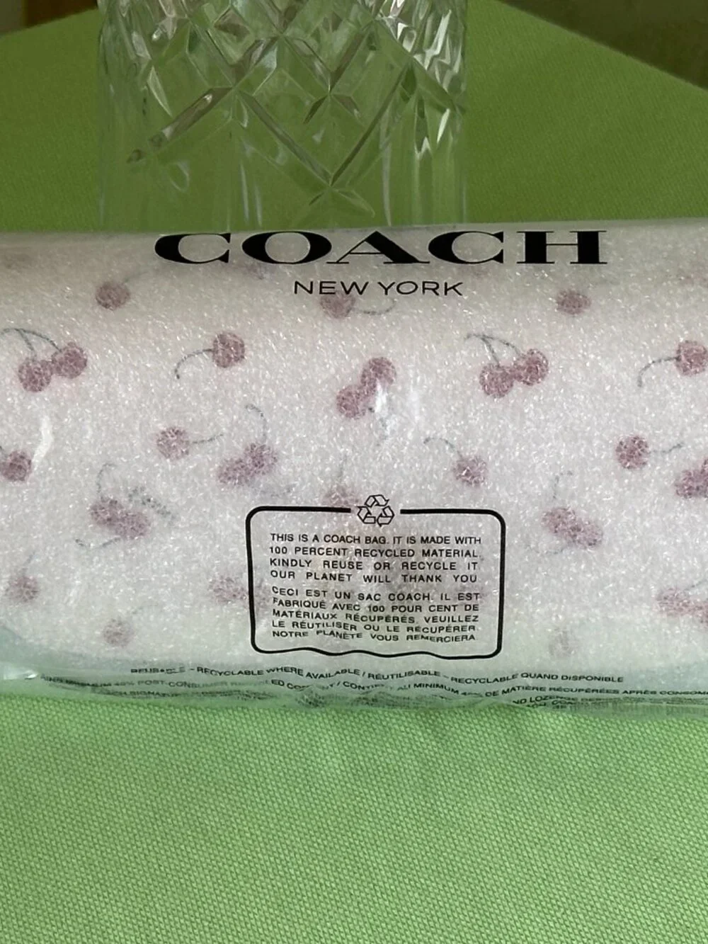 COACH SUNGLASS CASE W/ CHERRY PRINT:NWT CHALK/MULTI CFA49